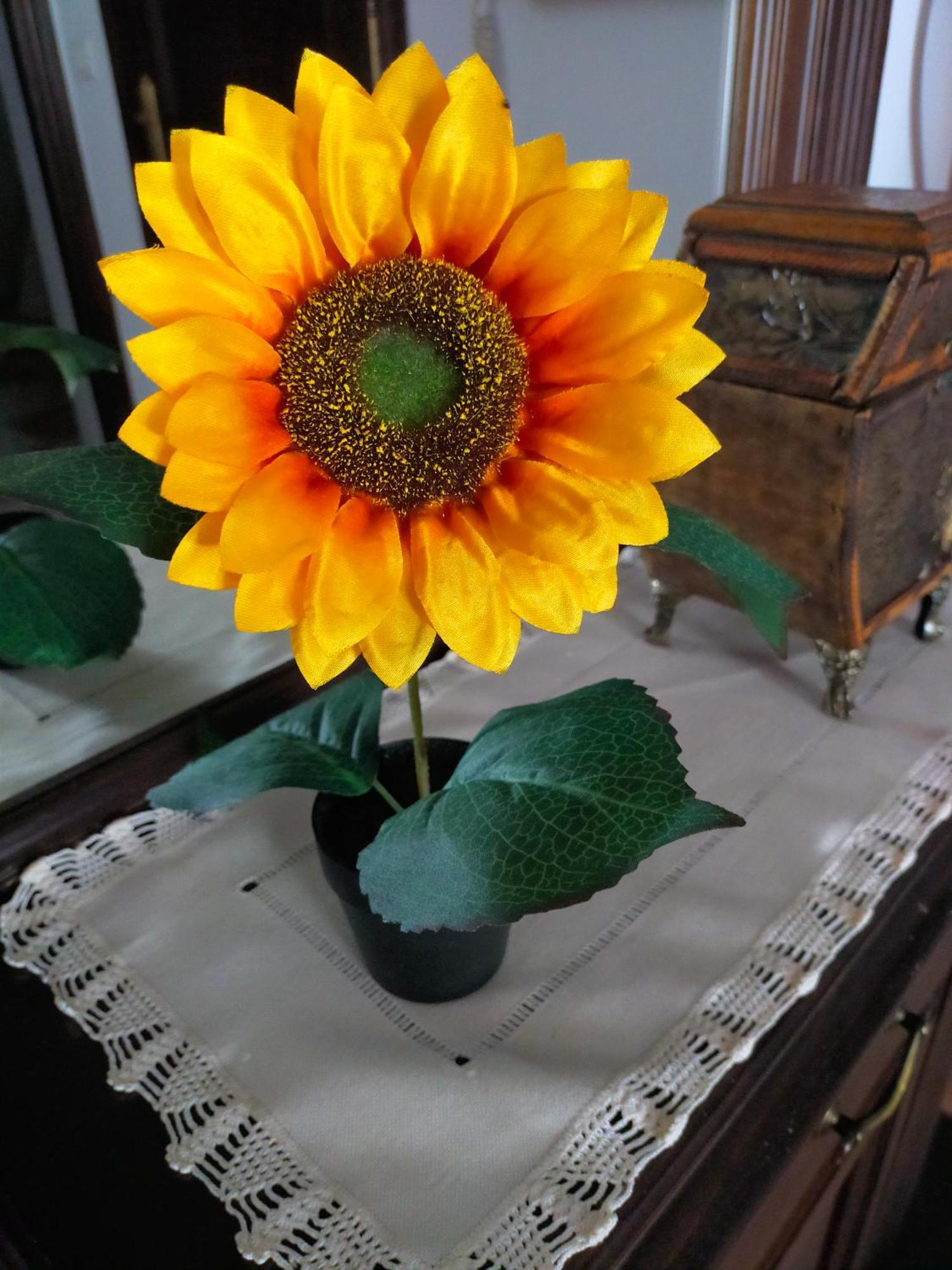 Los Girasoles Olvera Luaran gambar